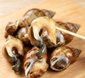 Delicious Fresh Sea Snails